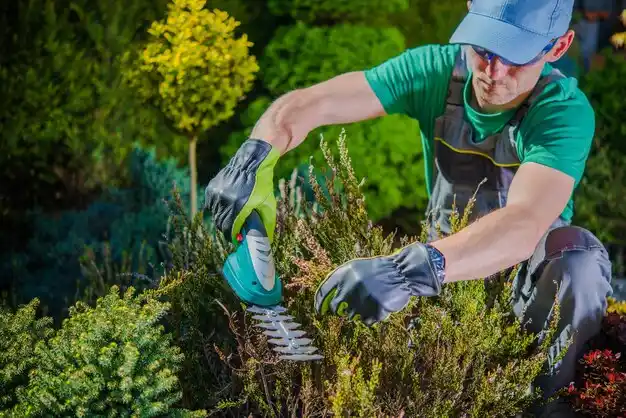 landscaping services New Era